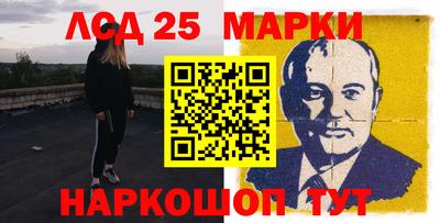 гидра Будённовск
