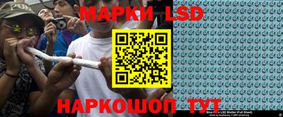 гидра Будённовск