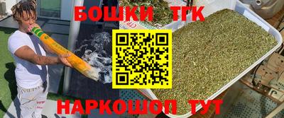 гидра Будённовск