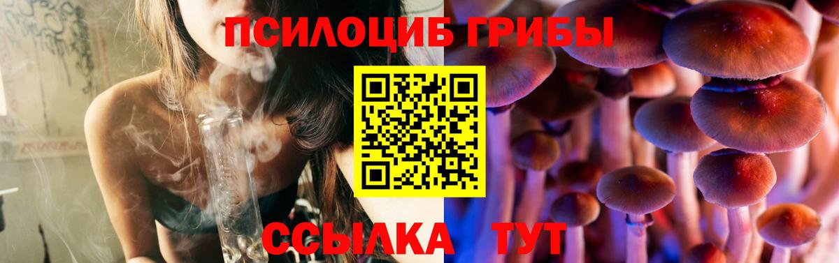 хочу   Вход с VPN  Уфа  Псилоцибиновые грибы мицелий 